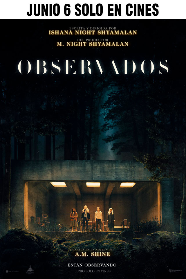 OBSERVADOS